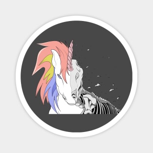 rainbow unicorn skeleton Magnet